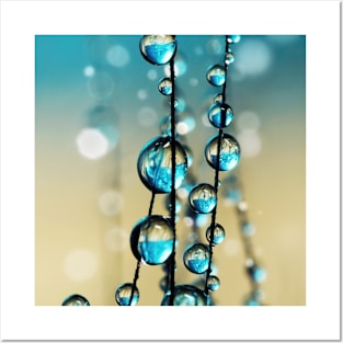 Grass Seed in Blue Sparkle II Posters and Art